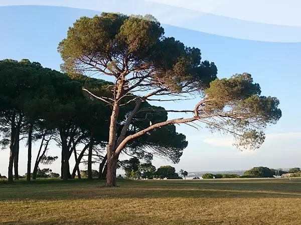 Segeln  ⛵  in Istrien 